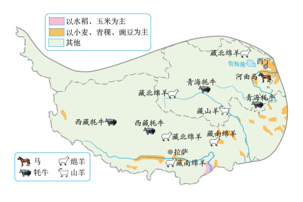 青藏地区农牧业示意图