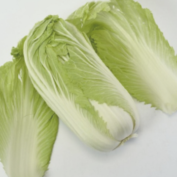 阿城大白菜