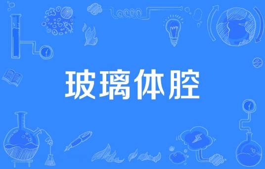 玻璃体腔