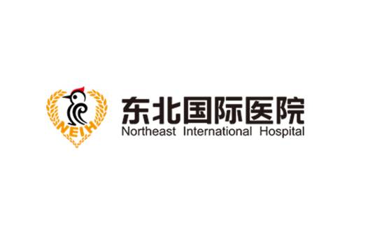 东北国际医院