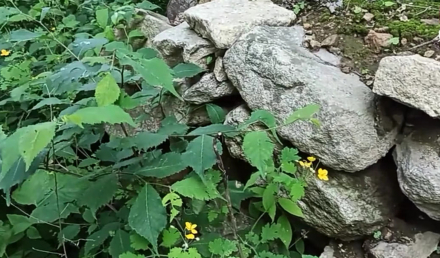 霸王朝山城遗址
