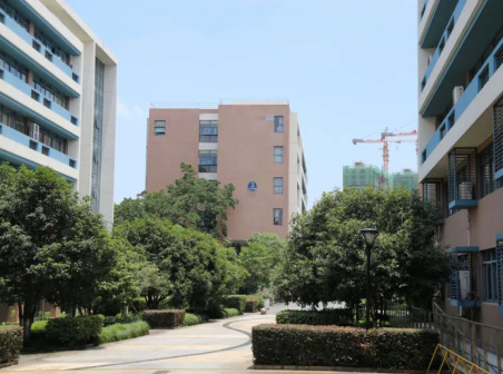 文三 艺术与考古学院