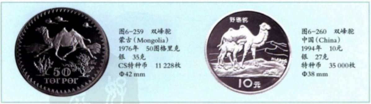 双峰驼