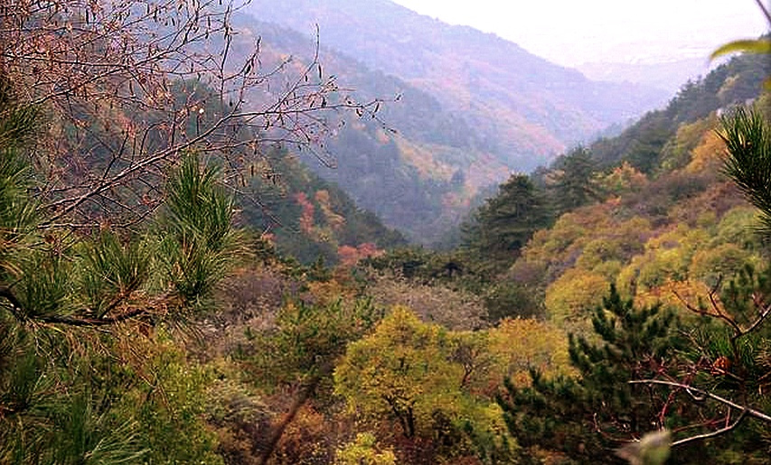 阪泉山