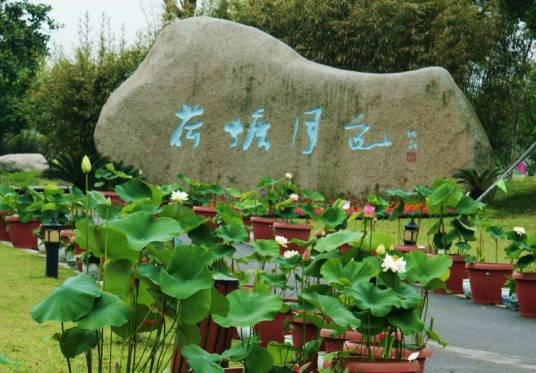 荷塘月色湿地公园
