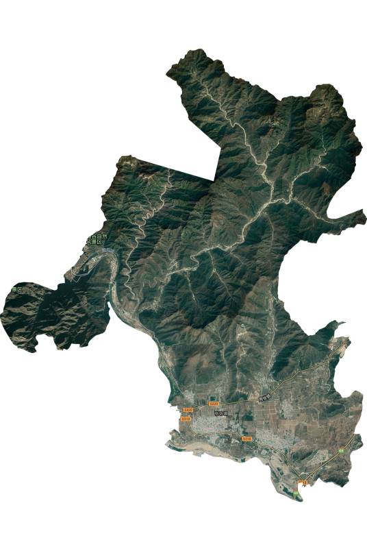 张坊镇