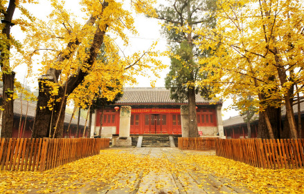 承恩寺