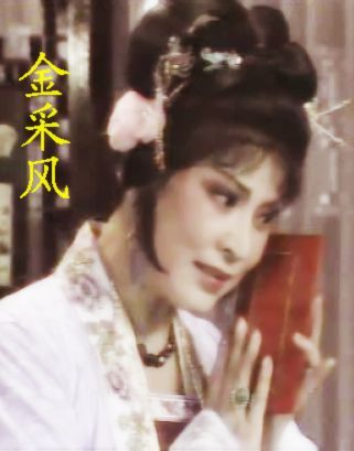 金采风扮演角色