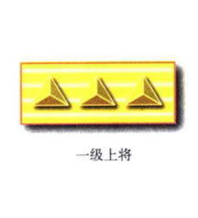 国民政府抗战时期一级上将领章 
