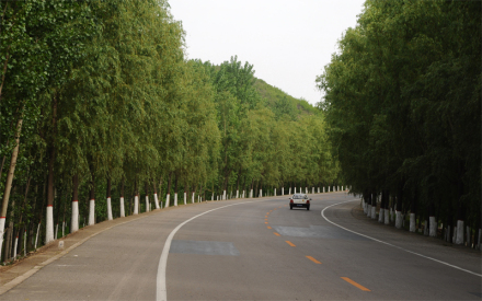 横济公路