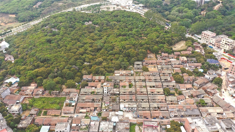 大岭山抗日根据地旧址