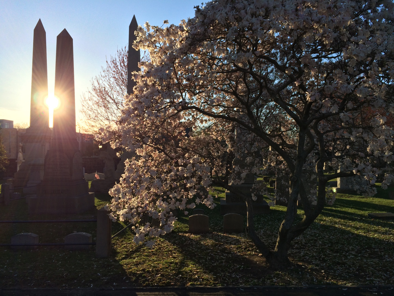 耶鲁春光： The Spring in New Haven