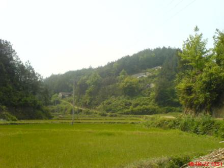钟姓发祥地平江