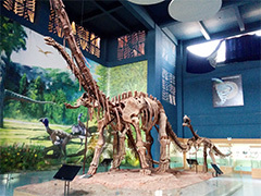 恐龙展厅