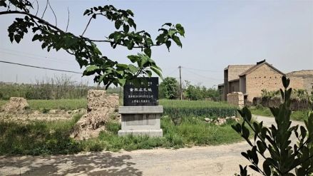 金胜庄遗址