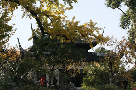 问梅阁