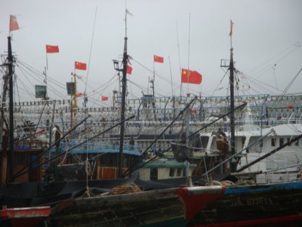 挂好国旗的渔船准备出海