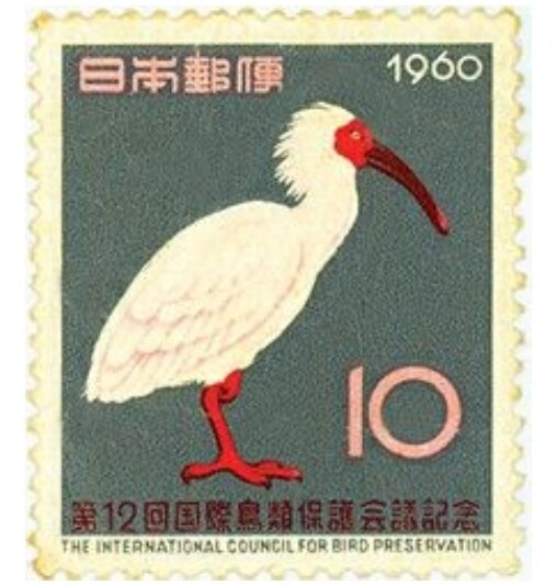 日本于1960年发行的《朱鹮》邮票 
