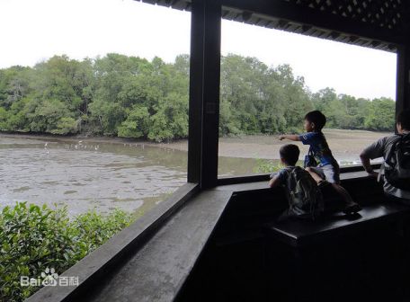双溪布洛湿地保护区,位于新加坡的西北部