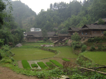 酉阳县农村风光