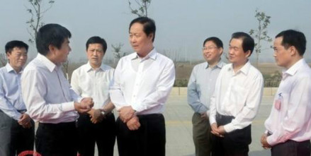 安徽省委书记张宝顺在费村