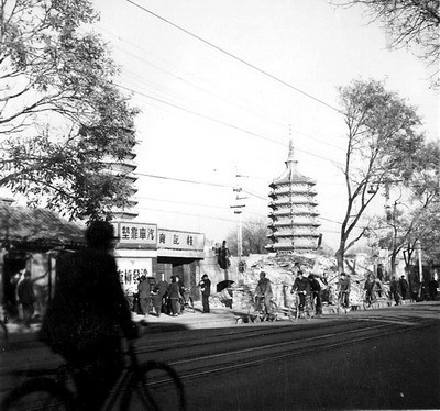 庆寿寺双塔远景