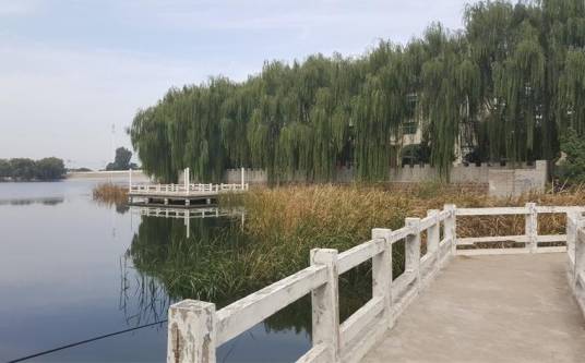 枯河
