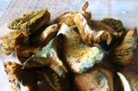 雁鹅菌