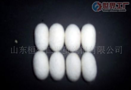 蚕茧药用