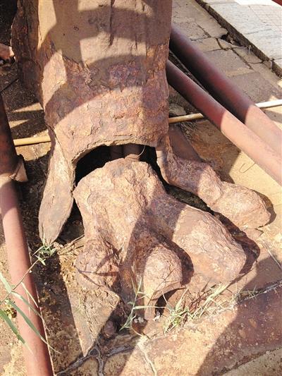 沧州铁狮子残损的左前脚趾