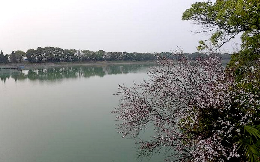 水上运动场一带湖面