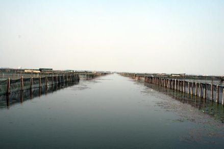 沙家浜镇阳澄湖大闸蟹基地