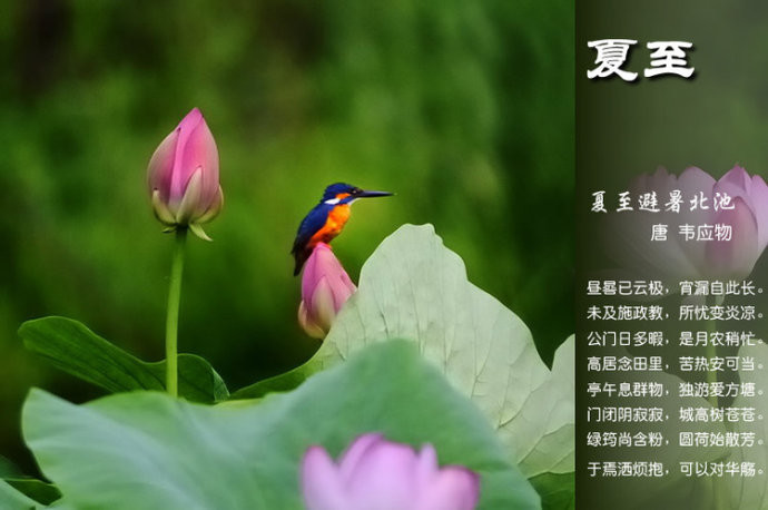 夏至