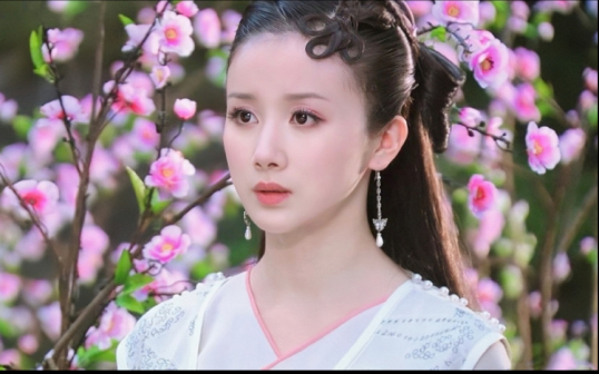 《楚留香》中饰演李红袖