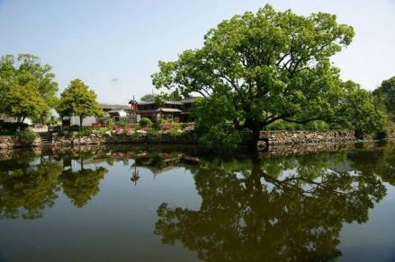 金大田景区