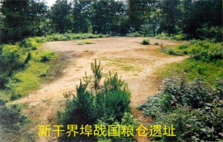 界埠粮仓遗址