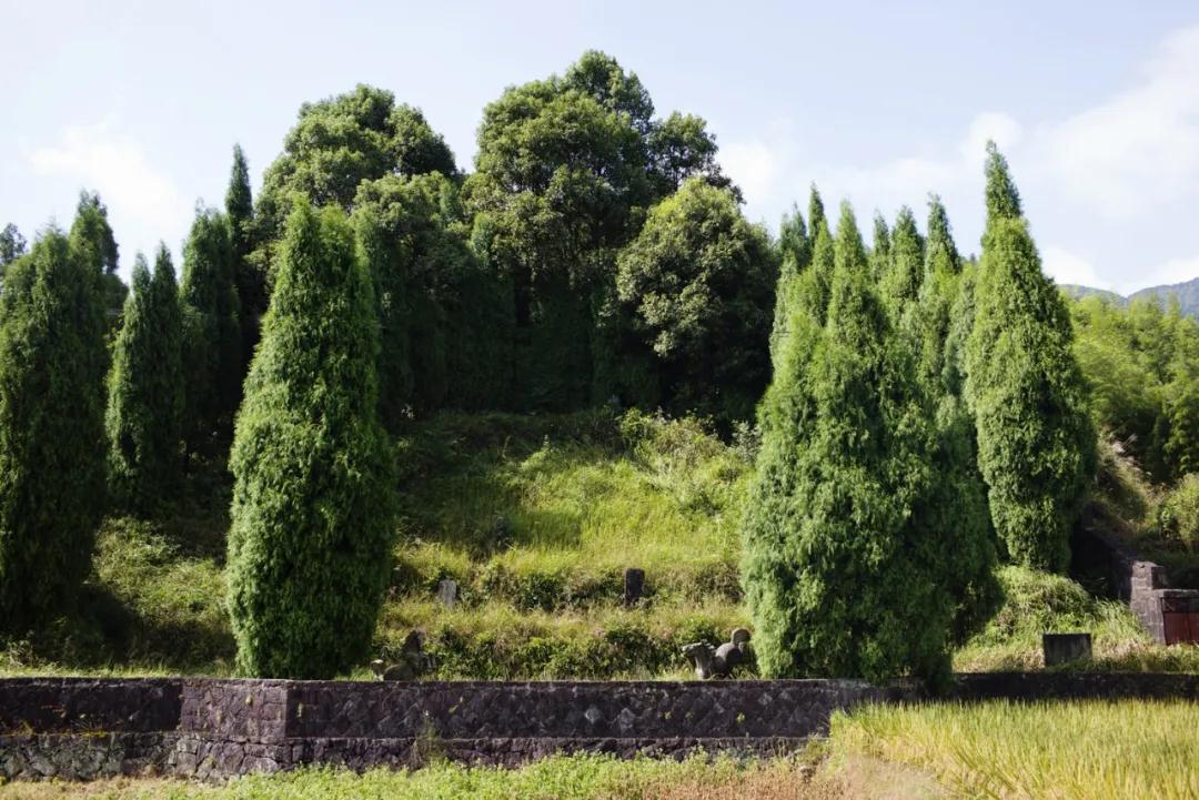 刘基墓