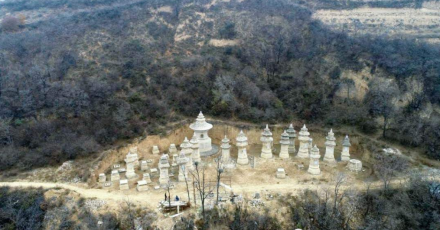 栖岩寺塔林