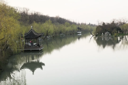 长堤春柳