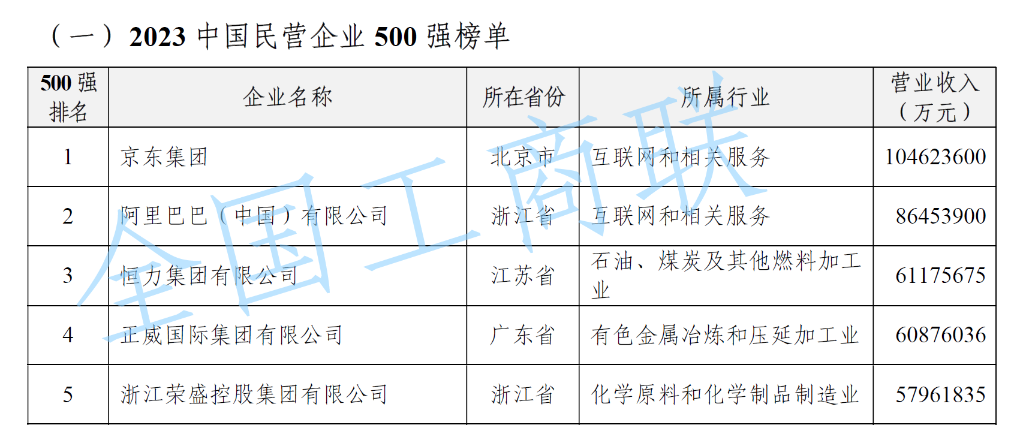 2023中国民营企业500强前五位