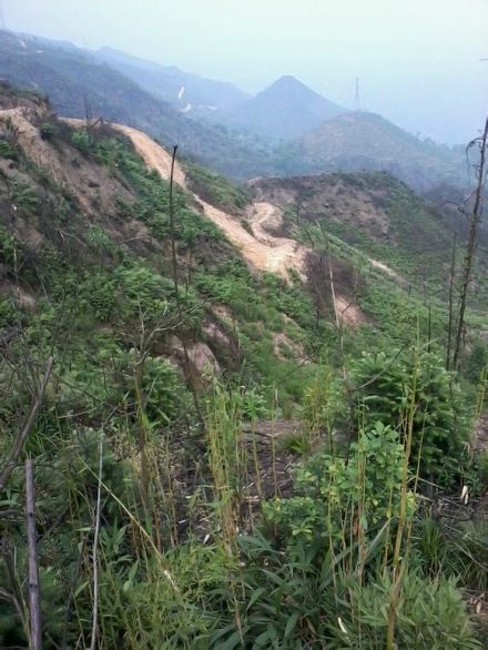 巫溪县山区