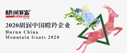 瞪羚企业
