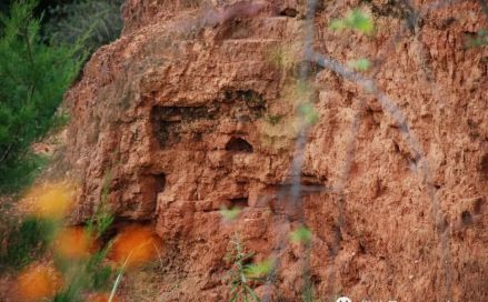 德源古城遗址西夯土城墙遗迹剖面