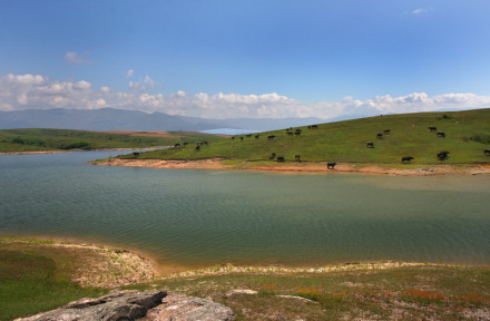 嘉山高原牧场