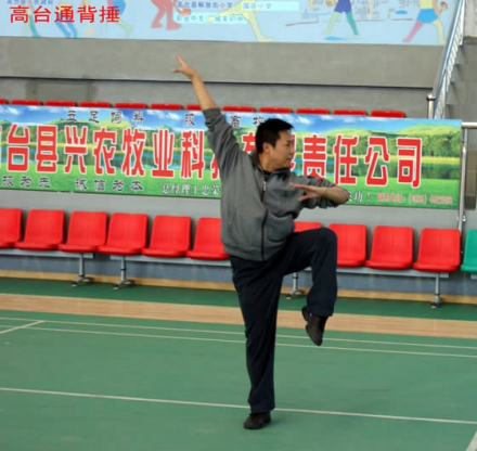 高台通背捶