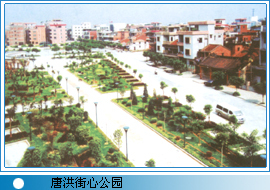 村中公园