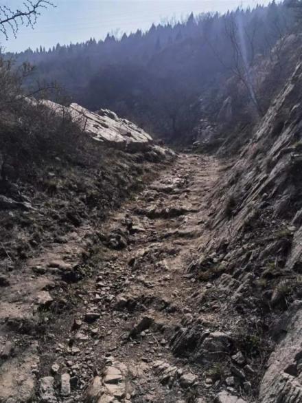 虞坂古盐道