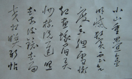 草书《菩萨蛮·小山重叠金明灭》