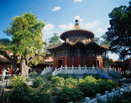 御花园