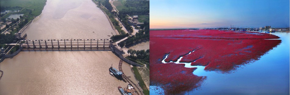 辽河西入海口双台子河盘山入海口 